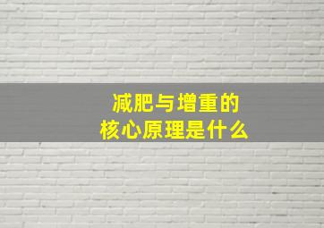 减肥与增重的核心原理是什么