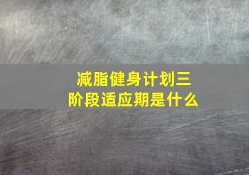 减脂健身计划三阶段适应期是什么