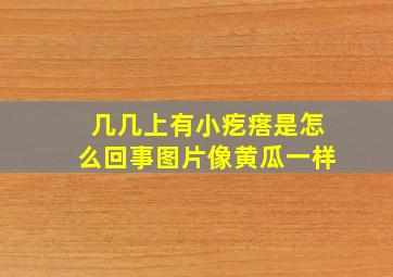 几几上有小疙瘩是怎么回事图片像黄瓜一样