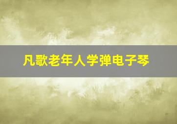 凡歌老年人学弹电子琴