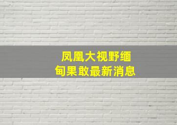 凤凰大视野缅甸果敢最新消息