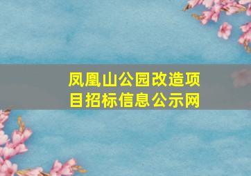 凤凰山公园改造项目招标信息公示网