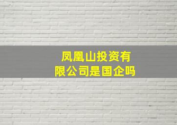 凤凰山投资有限公司是国企吗