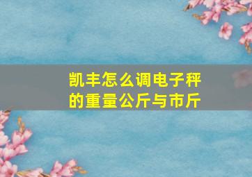 凯丰怎么调电子秤的重量公斤与市斤