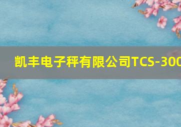 凯丰电子秤有限公司TCS-300