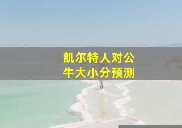 凯尔特人对公牛大小分预测