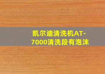 凯尔迪清洗机AT-7000清洗段有泡沫