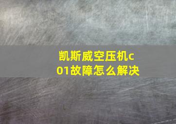 凯斯威空压机c01故障怎么解决