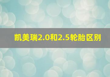 凯美瑞2.0和2.5轮胎区别