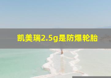 凯美瑞2.5g是防爆轮胎