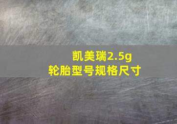 凯美瑞2.5g轮胎型号规格尺寸