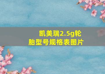 凯美瑞2.5g轮胎型号规格表图片