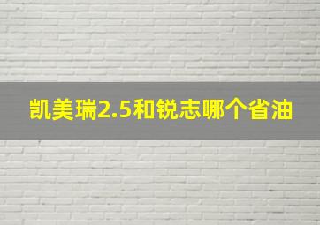 凯美瑞2.5和锐志哪个省油