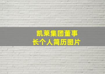 凯莱集团董事长个人简历图片