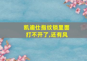 凯迪仕指纹锁里面打不开了,还有风