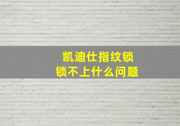 凯迪仕指纹锁锁不上什么问题