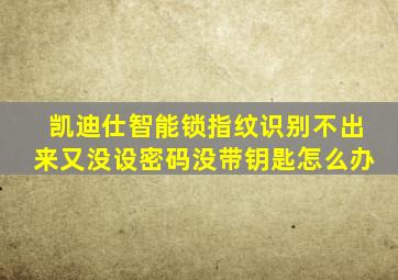 凯迪仕智能锁指纹识别不出来又没设密码没带钥匙怎么办