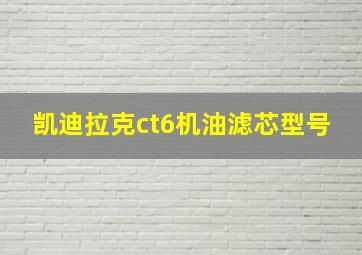 凯迪拉克ct6机油滤芯型号