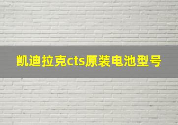 凯迪拉克cts原装电池型号