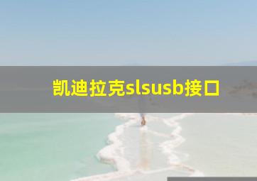 凯迪拉克slsusb接口