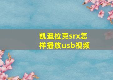 凯迪拉克srx怎样播放usb视频