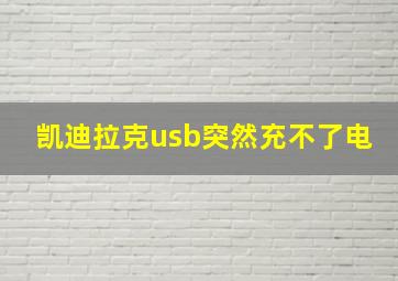 凯迪拉克usb突然充不了电