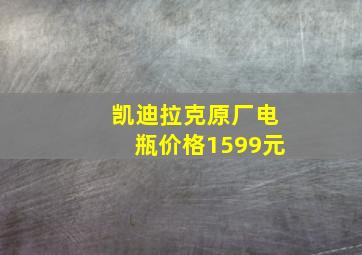 凯迪拉克原厂电瓶价格1599元