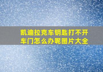 凯迪拉克车钥匙打不开车门怎么办呢图片大全