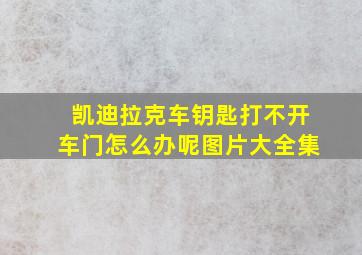 凯迪拉克车钥匙打不开车门怎么办呢图片大全集