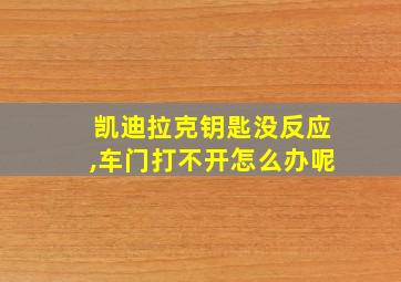 凯迪拉克钥匙没反应,车门打不开怎么办呢