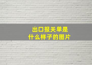 出口报关单是什么样子的图片