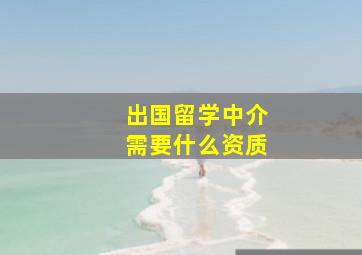 出国留学中介需要什么资质