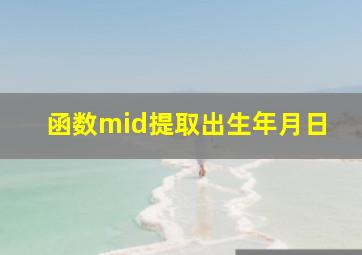 函数mid提取出生年月日