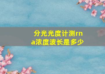 分光光度计测rna浓度波长是多少