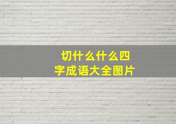 切什么什么四字成语大全图片