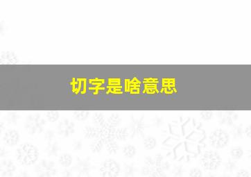 切字是啥意思