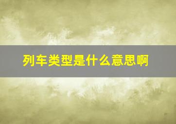 列车类型是什么意思啊