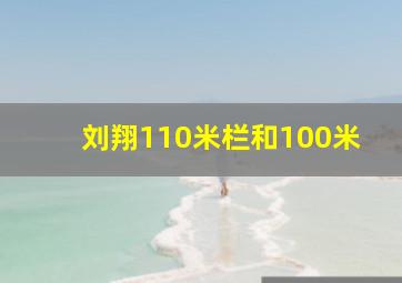 刘翔110米栏和100米