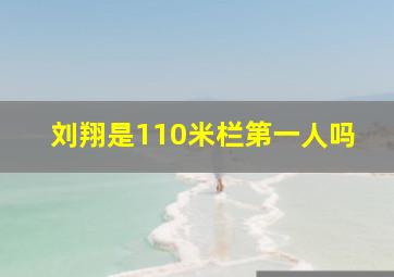 刘翔是110米栏第一人吗