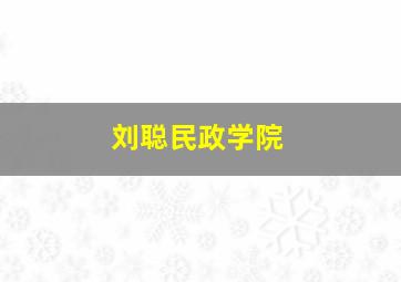 刘聪民政学院