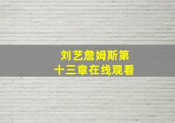 刘艺詹姆斯第十三章在线观看