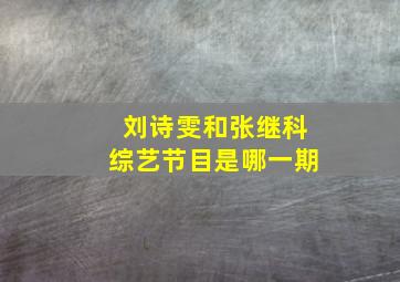 刘诗雯和张继科综艺节目是哪一期