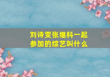 刘诗雯张继科一起参加的综艺叫什么