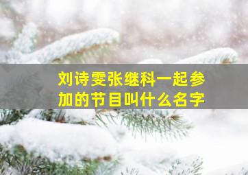 刘诗雯张继科一起参加的节目叫什么名字