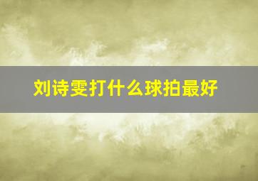 刘诗雯打什么球拍最好