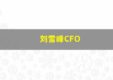 刘雪峰CFO