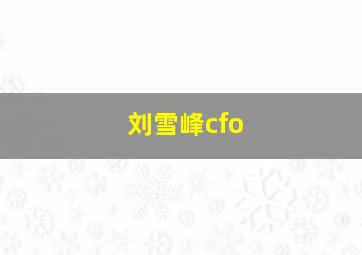 刘雪峰cfo