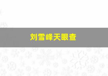 刘雪峰天眼查