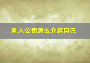 刚入公司怎么介绍自己