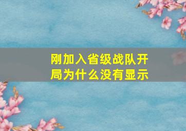 刚加入省级战队开局为什么没有显示